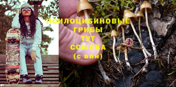 а пвп мука Алзамай