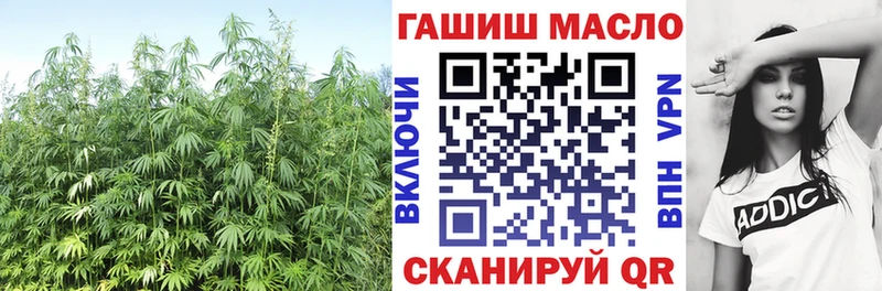 Дистиллят ТГК THC oil  Ардатов 