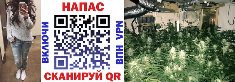 Каннабис марихуана  купить  цена  Ардатов 